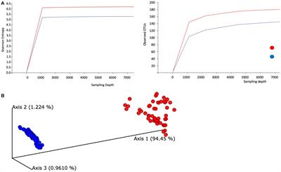 Gut Microbiota Interplay With COVID-19 Reveals Links to Host Lipid Metabolism Among Middle Eastern Populations